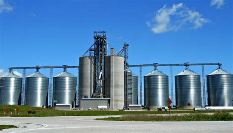 como funciona medidor de umidade de grãos|umigrain grãos.